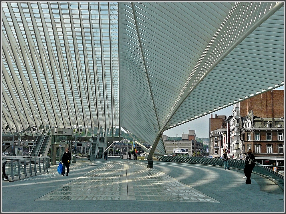 Licht- und Schattenspiele im Bahnhof Li�ge Guillemins. 08.05.10 (Jeanny)