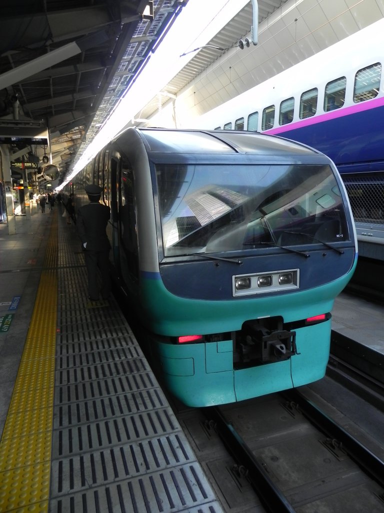 Limited Expresses Super View Odoriko mit einem Series 251 Triebwagen im Bahnhof von Tokyo.