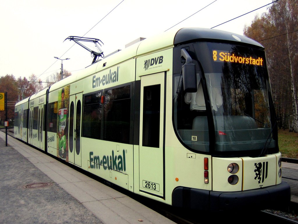 Linie 8 (Fahrzeug 2613) nach Sdvorstadt. Aufgenommen am 02.11.10