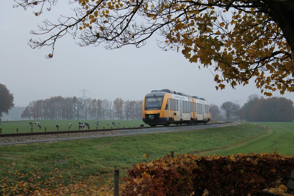 Lint-Triebwagen nr. 37 von Syntus mit Regionalzug 30852 Winterswijk-Zutphen bei Warnsveld am 19-11-2012.