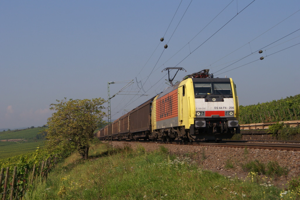Locon ES 64 F4-206 mit einem Papierzug in Erbach (Rheingau) am 03.09.2011