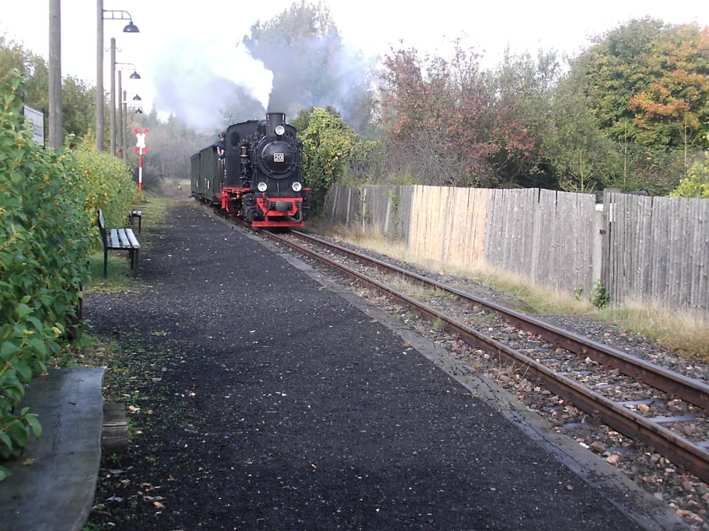 Lok 20 fhrt mit ihrem Personenzug aus Hettstedt-Kupferkammerhtte kommend in Hettstedt-Eduardschacht ein. (05.10.2008)