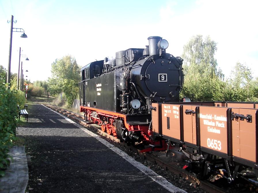 Lok 9 mit einem PmG steht in Hettstedt, Hp. Eduardschacht und wird zum Rangieren gleich nach Kupferkammerhtte ausfahren. (05.10.2008)