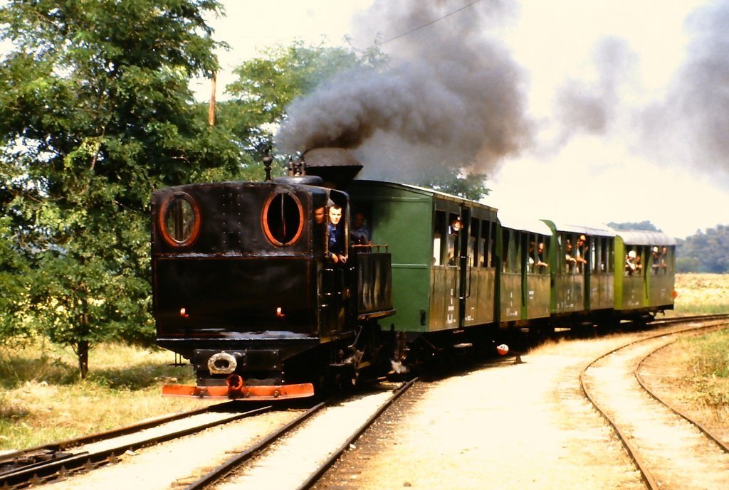 Lok Andrs der Nagycenki Istvn  Szchenyi Mzeumvast Fertboz-Bartsg-Kastly im Jahr 1988.