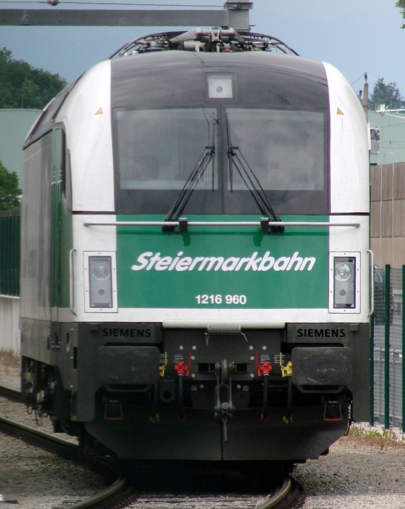 Lok eines Holzzugs in Lenzing