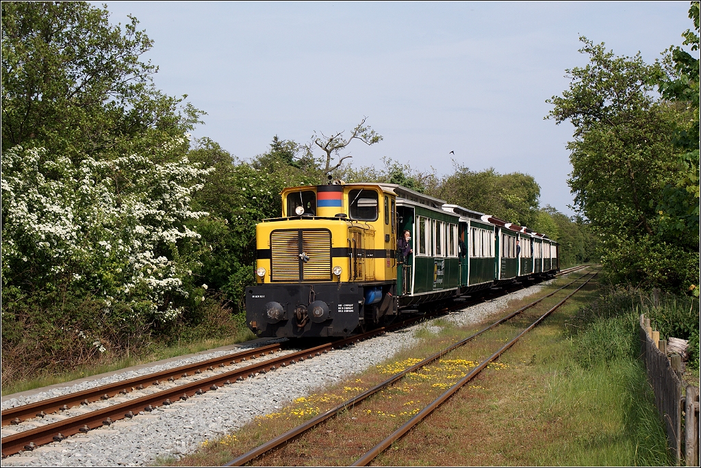 Lok EMDEN fhrt mit der historischen Wagengarnitur stadtwrts (29. Mai 2010).