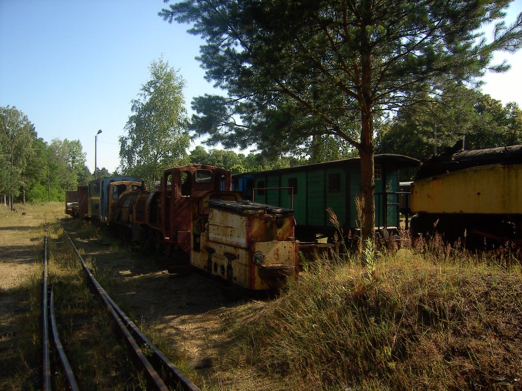 Lokomotivfriedhof in Rauden (Rudy), Oberschlesien Sommer 2012