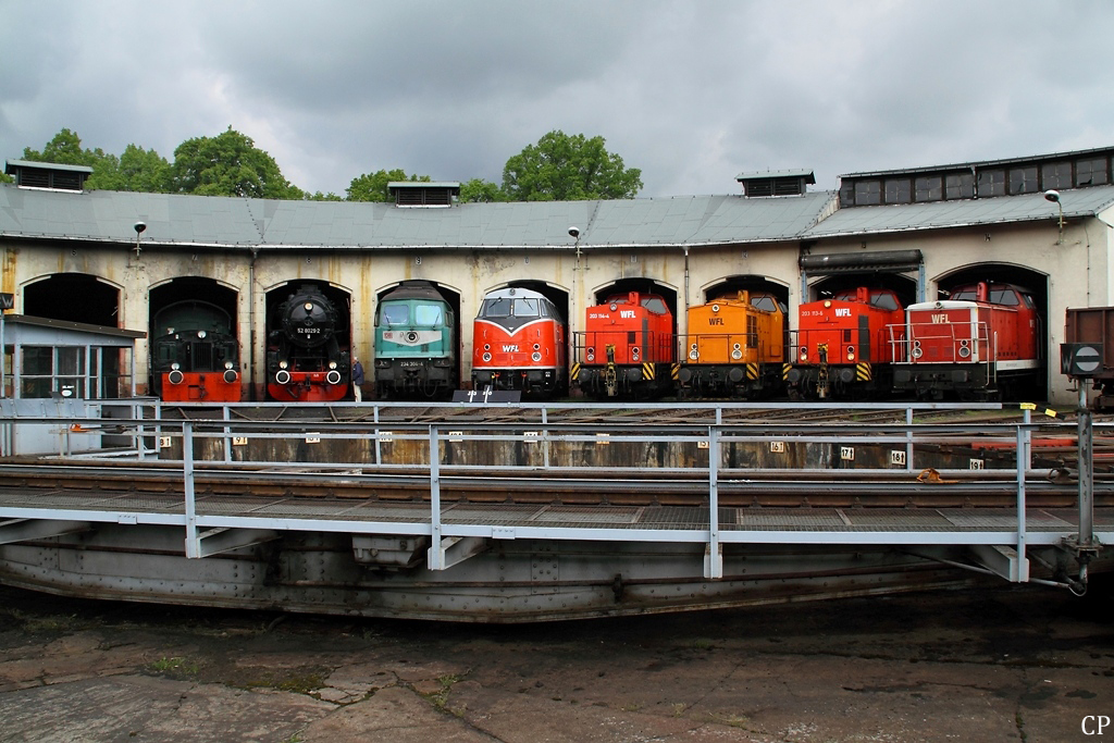 Lokparade im Bw Nossen am 15.5.2011: Von links nach rechts sind zu sehen 310 498-1, 52 8029-2, 234 304-4, 228 501-3 (WFL Lok 20), 203 114-4, 293 021-2 (WFL Lok 12), 203 113-6 und 346 674-5 (WFL Lok 5).