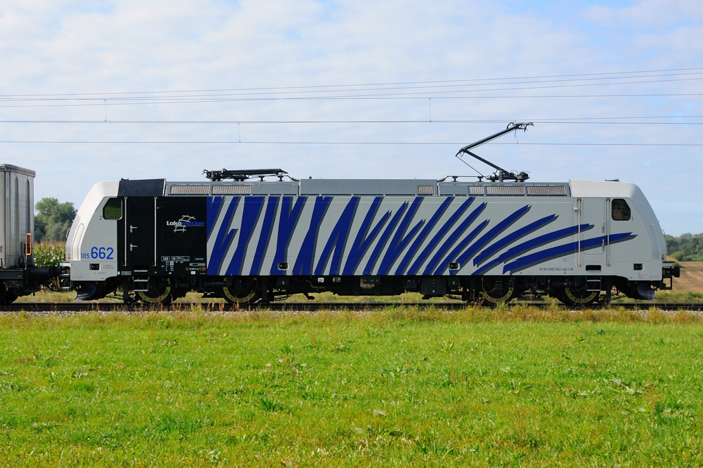 Lokportrait von 185 662-4..., ein blaues  Lomo-Zebra . Aufgenommen zwischen Mindelaltheim und Offingen an der KBS 980 beim Warten auf meine neueste Traumlok (15.09.2011).