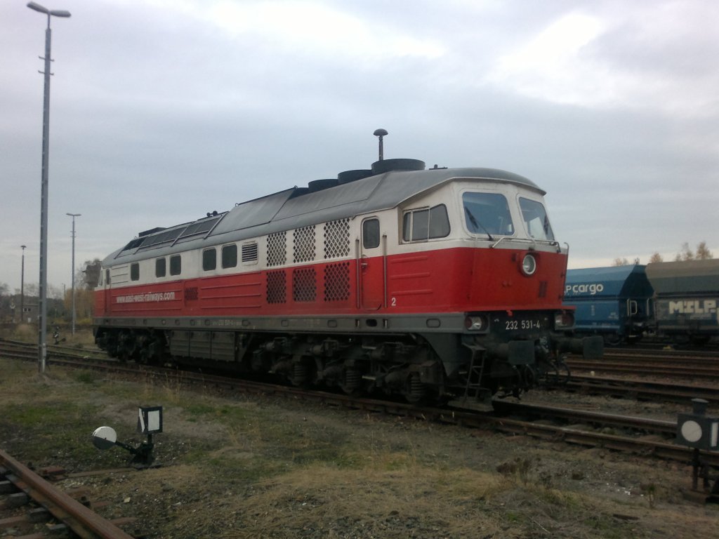 Ludmilla (V300) der East-West-Railways Im Grenzbahnhof bei Horka 
November2012