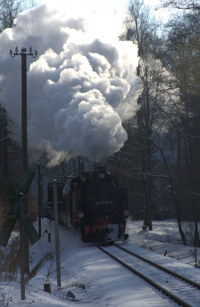 Mchtig dampfend kommt  99 1775 - 8 aus Richtung Radebeul Ost , um nach wenigen Metern am Haltepunkt Friedewald , anzuhalten. 26.01.2013  15:30 Uhr