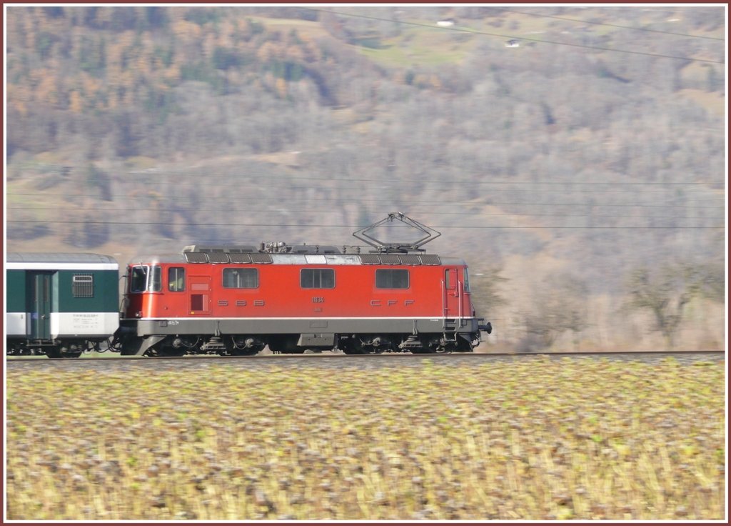 Mal ein Mitzieher des RE 3824 mit Re 4/4 II 11134 hinter einem drren Sonnenblumenfeld bei Zizers. (22.11.2009)