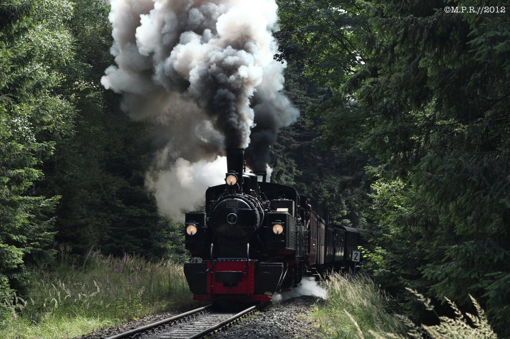 Malletdampflok 105 (Museumsbahn Blonay-Chamby), HSB 99 5901 und am Zugschluss HSB 99 5902 am 28.7.2012 mit dem Traditionszug bei Schierke.