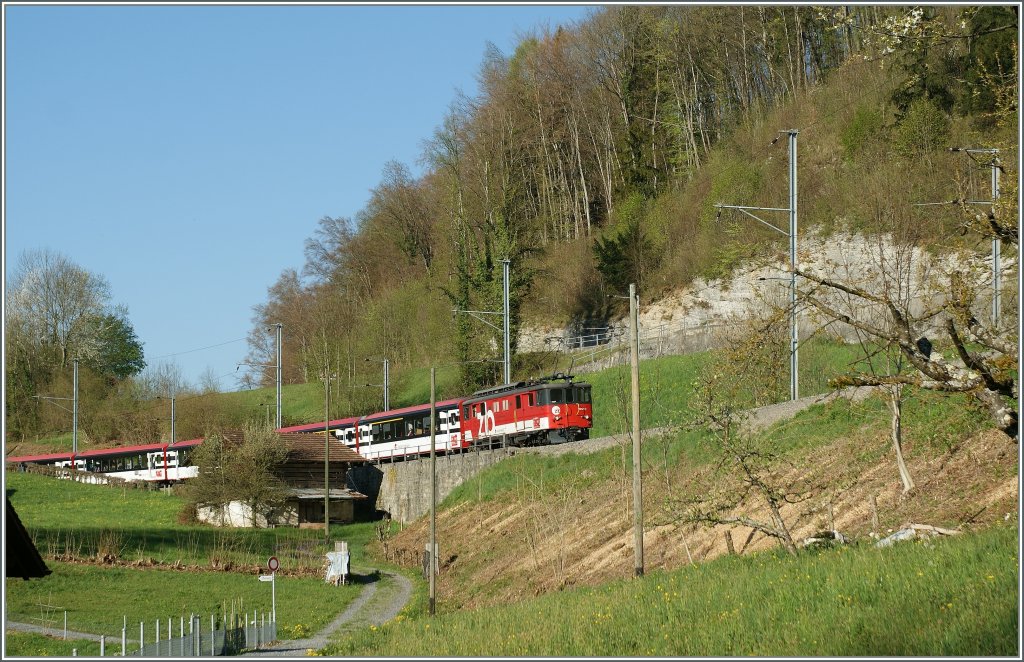 Masten lockern hin und wieder das Bild auf, doch hier, bei dieser sonst prchtigen Fotostelle sind sie des Guten zu viel und welch Glck, dass auch die IR nur mit etwa 80 km/h hier vorbeifahren, damit sie genau zwischen den zahlreichen Masten abgelichtet werden knnen. 
De 4/4 110 021-3 mit IR 2215 nach Luzern zwischen Ringgenberg und Niederried am 9. April 2011.