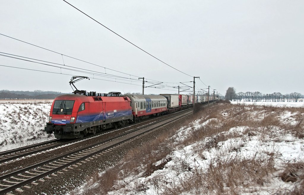 MAV Cargo 1116 020 brachte am 14.02.2010 die Rollende Landstra�e 41303 von Wels nach Hegyeshalom. Das Foto entstand kurz vor Gramatneusiedl.