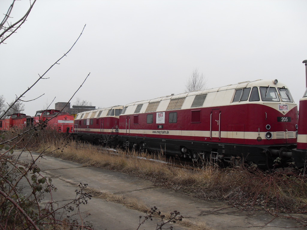MEG 201&205 standen am 17.02.2011 in Stendal.