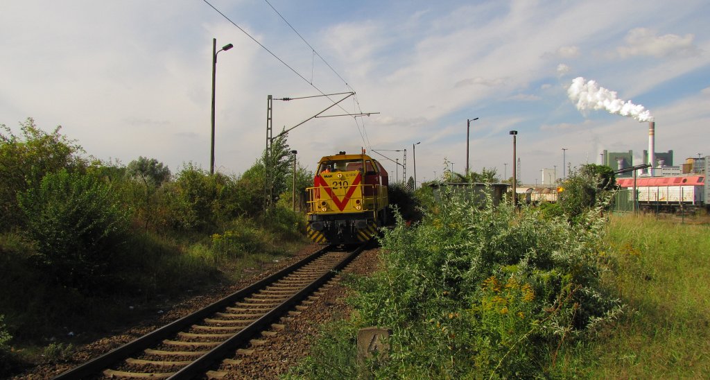 MEG 210 (275 210-3 D-MEG) mit dem KC 61575 nach Whlitz, bei der Ausfahrt aus den Werkbf Buna. Von ffentlichen Gelnde aus fotografiert; 07.09.2010