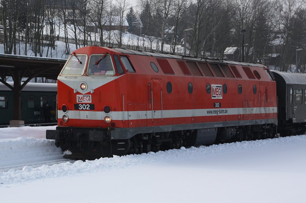 MEG 302 (229 173) am 06.02.2010 im Bahnhof Cranzahl.