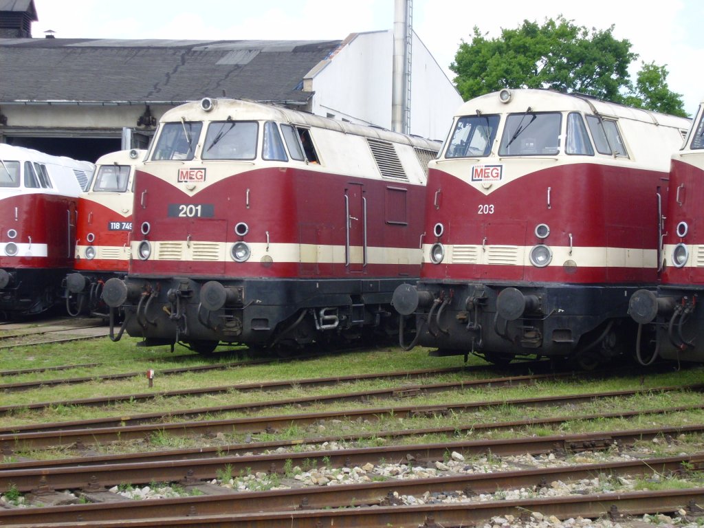 MEG201 und 203 beim Eisenbahnfest in Weimar 24.05.2008