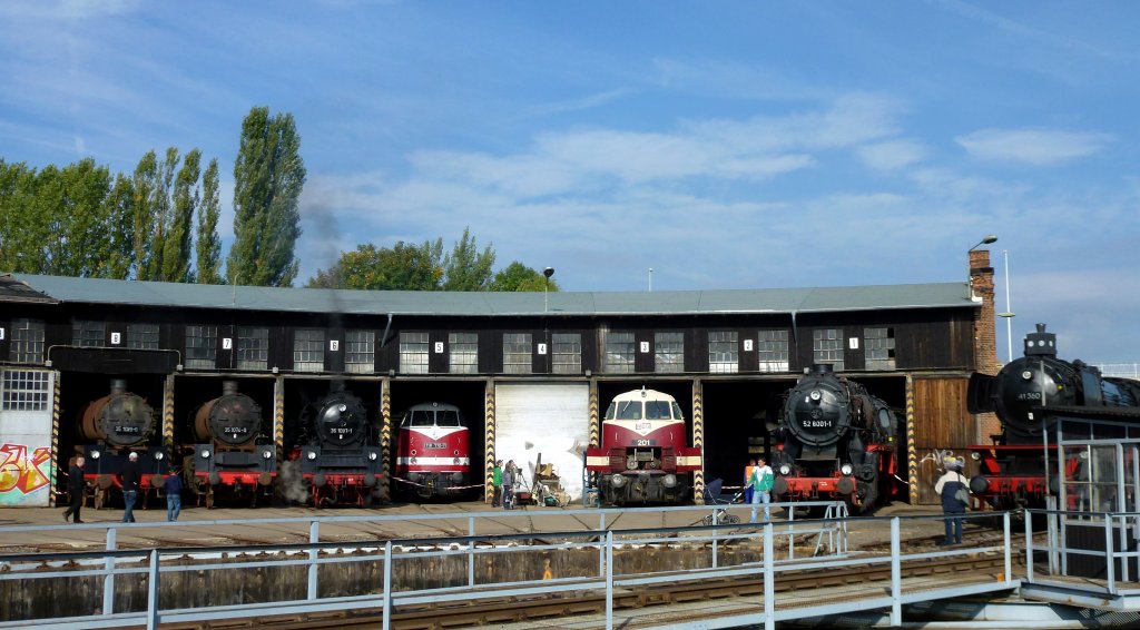 Mehrere Loks im Ringlokschuppen zusehn. Die Loks waren bei den 2. Verkehrshistorische Tage in Gera zusehen. Foto 29.09.2012 