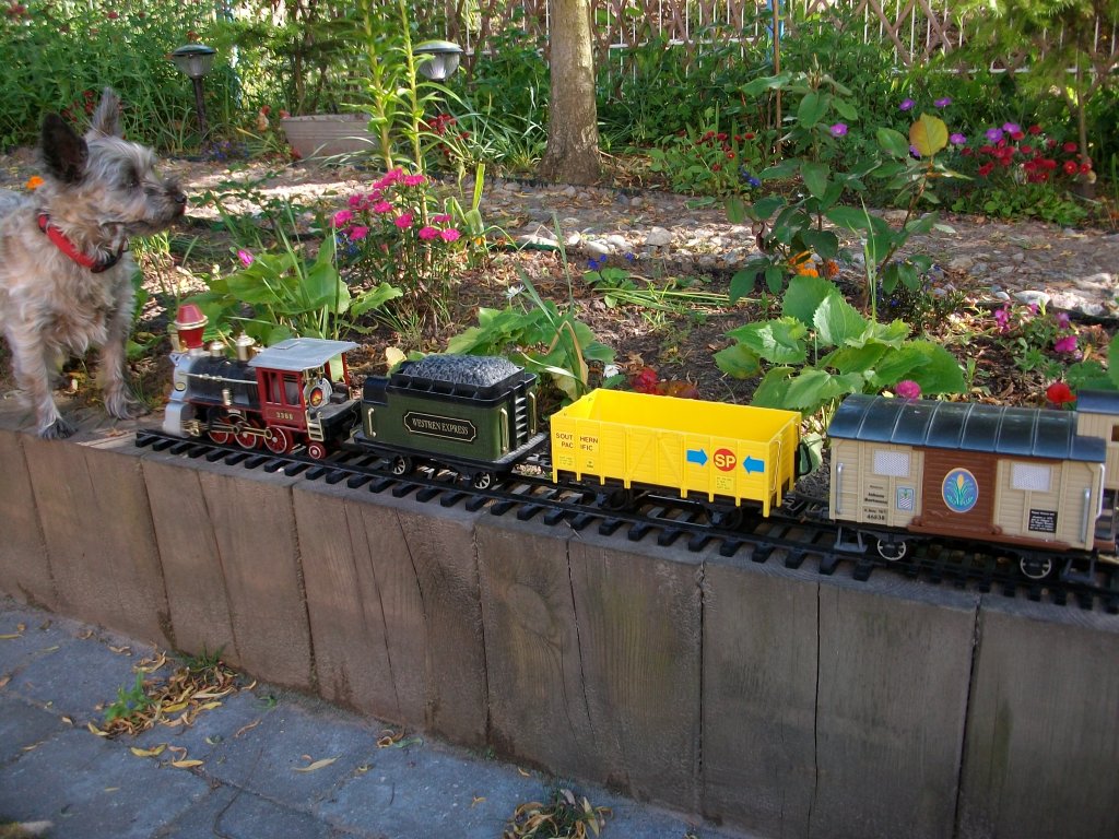 Mein Hund beschtzt meine Gartenbahn.