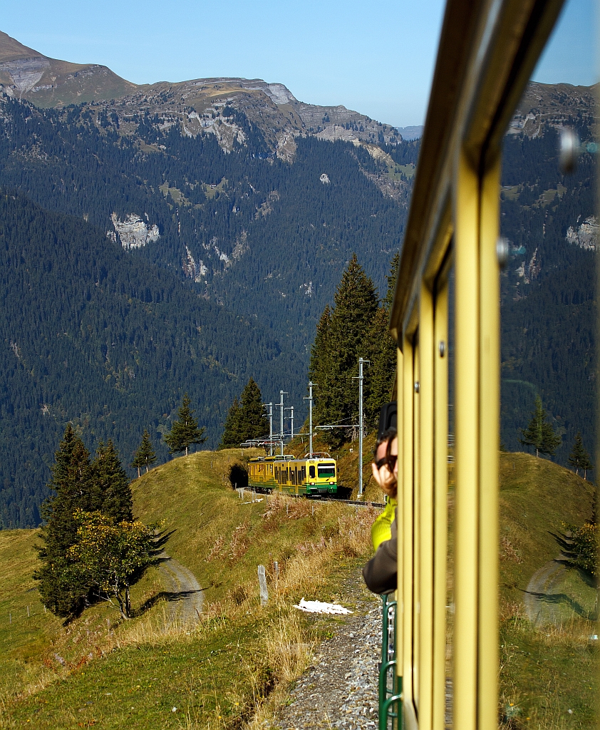 Meine Frau und ich sitzen am 02.10.2011 in dem 1. Triebzug der WAB, ein Blick zurck uns folgt schon der nchte. Hier zwischen Wengen und Wengeralb.