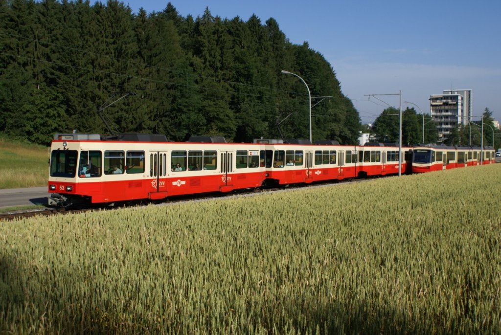 Meistens findet zwischen Waltikon und Zollikerberg eine Zugsbegegnung statt, so dass sich der Fotograph manchmal grn und blau rgern knnte, wenn ihn wieder ein Zug aus Richtung Waltikon im dmmsten Moment vor die Nase fhrt. Bei diesem Bild, dass einen Pendelzug mit den Be 4/4 53, 52, 51 (und dem verdeckten Be 4/4 54) zeigt, hatte ich noch einmal Glck gehabt. (9.7.10)