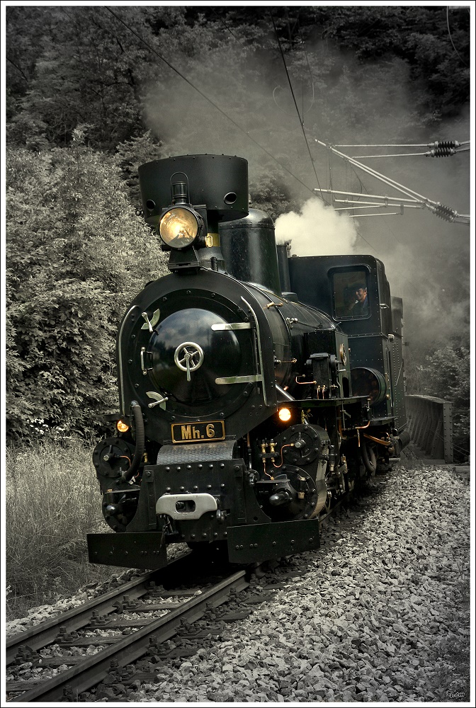 MH 6 Mariazellerbahn fhrt mit dem Panoramic 760 von Ober Grafendorf nach Mariazell. 
Frankenfels Schwarzenbach 4.7.2010