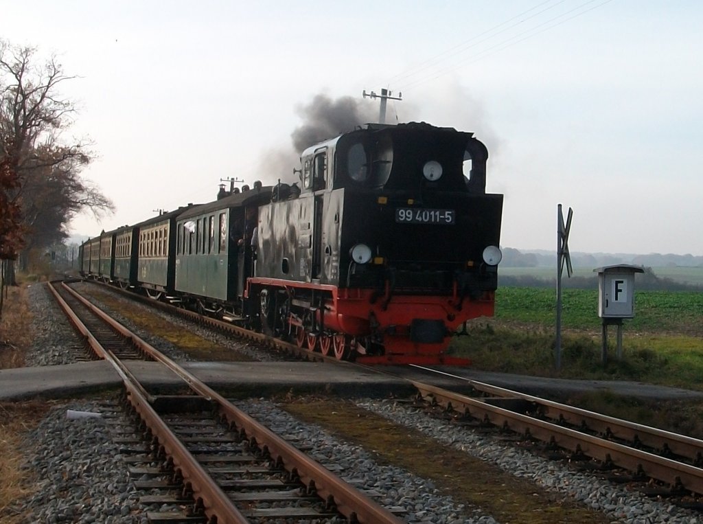 Mit 30 km/h Hchstgeschwindigkeit  rauschte  99 4011 am 29.Oktober 2010 durch die Kreuzungsstelle Posewald in Richtung Ghren.