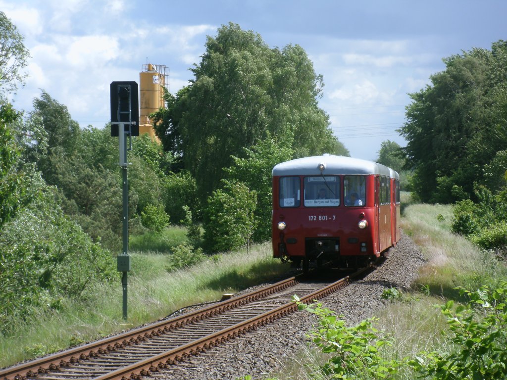 Mit 80 km/h  raste  der Neustrelitzer 172 001/601 von Lauterbach Mole kommend,am 02.Juni 2012,nach Bergen/Rgen.