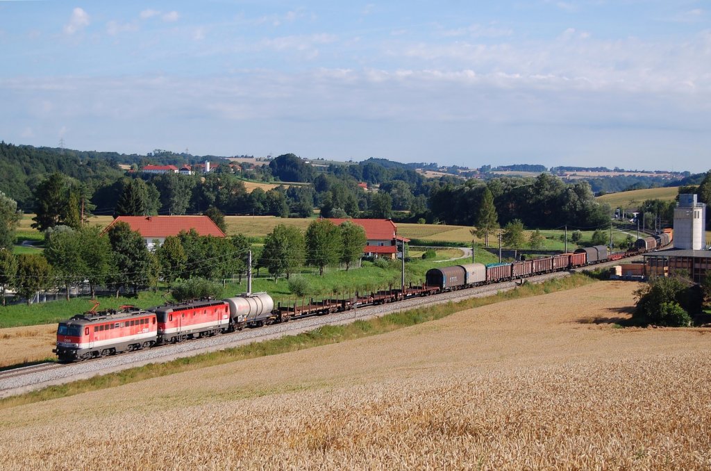 Mit dem 54691 sind am 19.07.2012 1142 598 + 1144 032
kurz vor Wartberg an der Krems zu sehen gewesen.