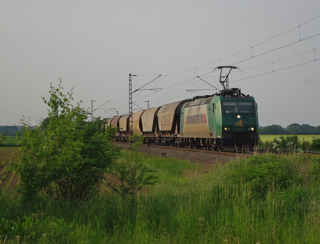 Mit dem letzten Abendlicht kam noch 185 543-6 und einem Getreidezug in Richtung Sden daher. Aufgenommen am 29.05.2010 am B bei Niedernjesa.