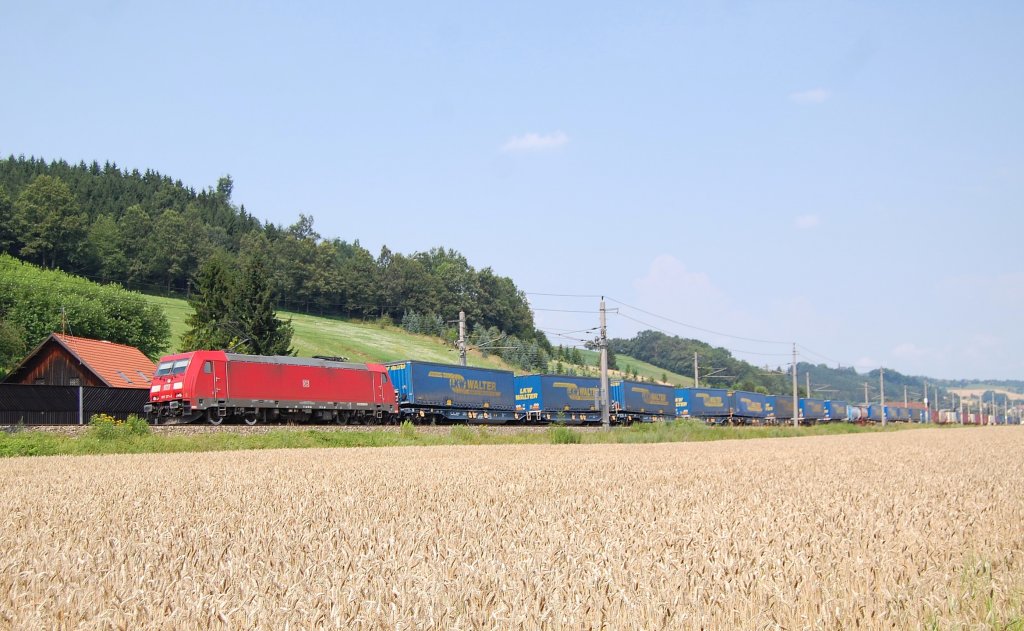Mit einem Containerzug ist die 185 371 am 17.07.2010
in Schlsslberg bei Grieskirchen durchgefahren.