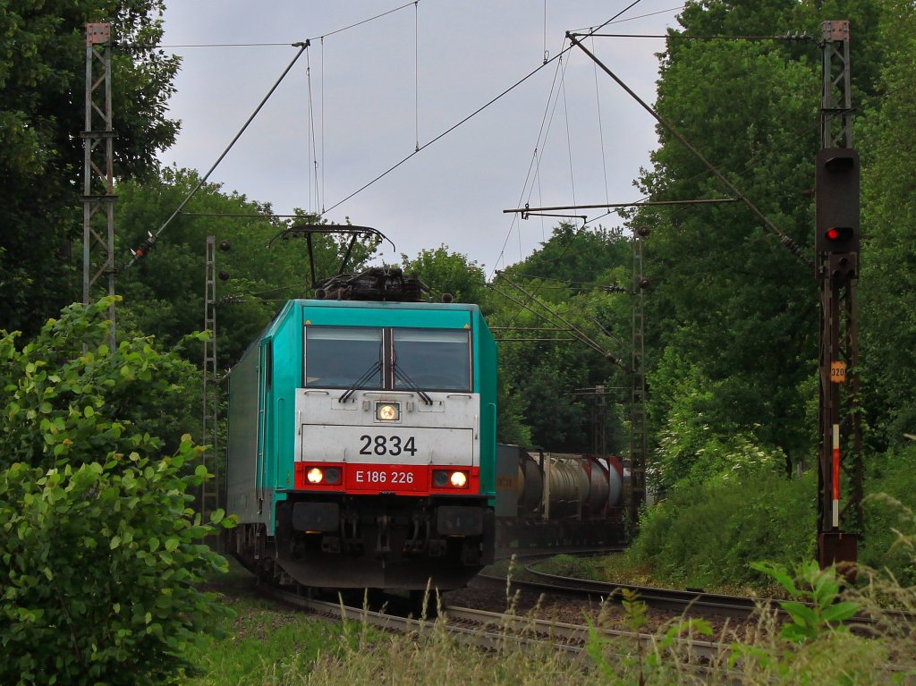 Mit einem Containerzug am Haken qult sich Cobra 186 226 (2834) auf feuchten Schienen durch die grne Hlle der Gemmenicher Rampe von Aachen West nach Belgien hoch.