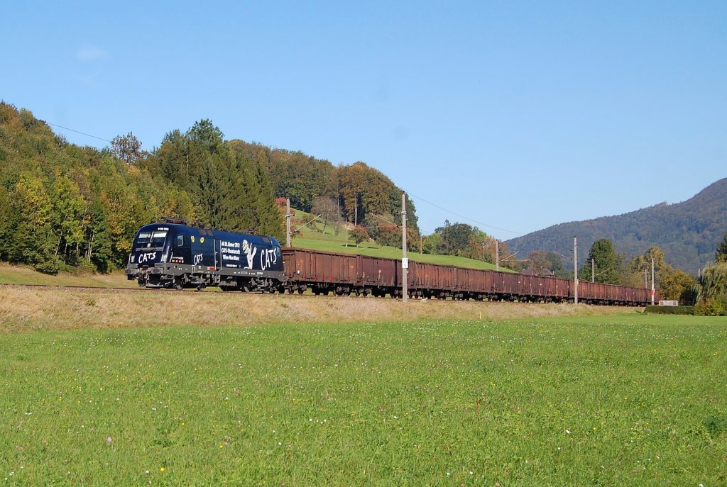 Mit einem Gterzug ist am 01.10.2011 die
1116 153 in der Ortschaft Lahrndorf
durchgefahren.