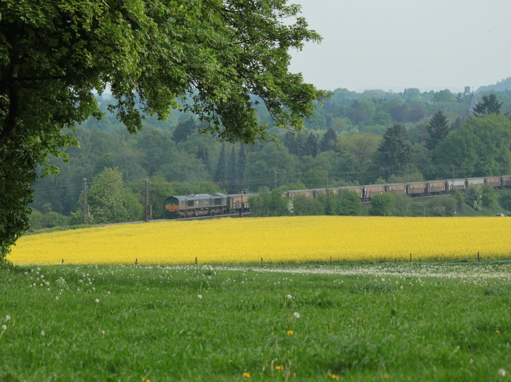 Mit einem leeren Bleierzzug am Haken fhrt eine Class66 der Rurtalbahn am 29.04.2011 auf der Rampe der Montzenroute nach Belgien hoch.