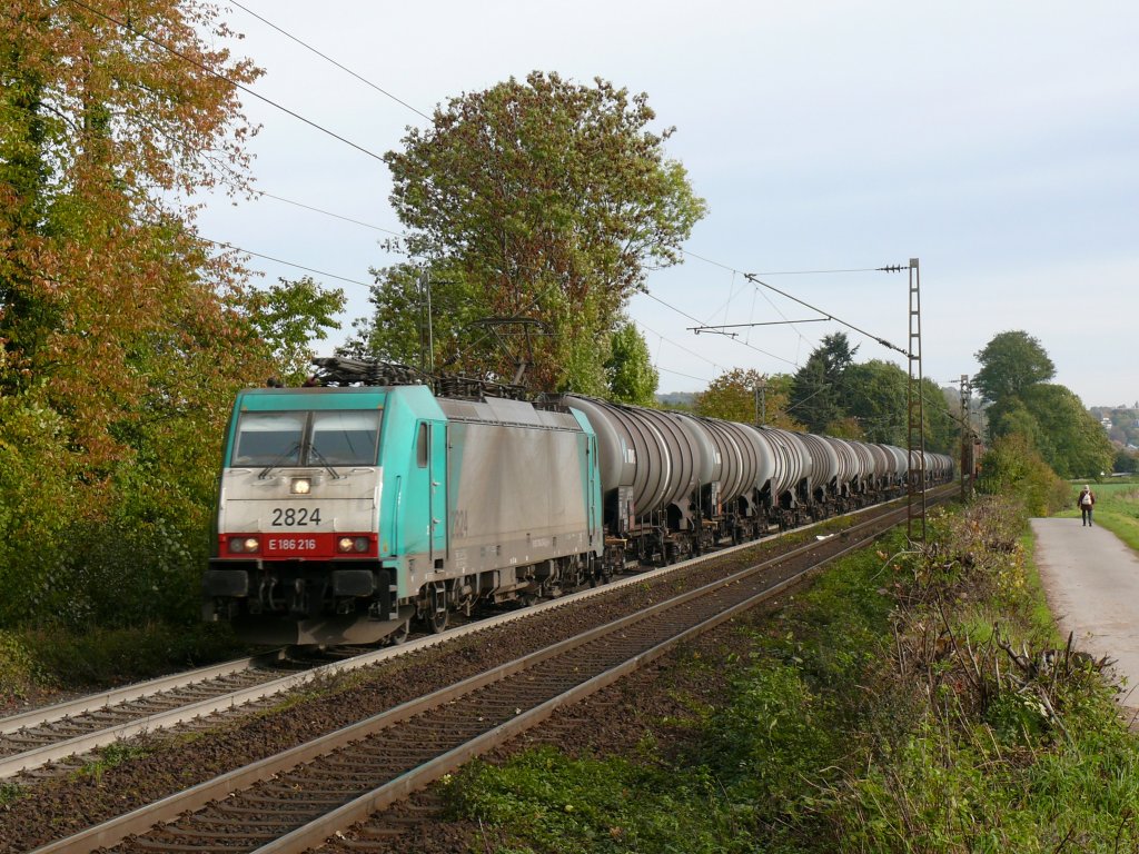Mit einem relativ kurzen Kesselwagenzug fhrt Cobra-Lok 2824 (186 216) die Steigung am Gemmenicher Weg hoch in Richtung Belgien. Aufgenommen am 23/10/2010.