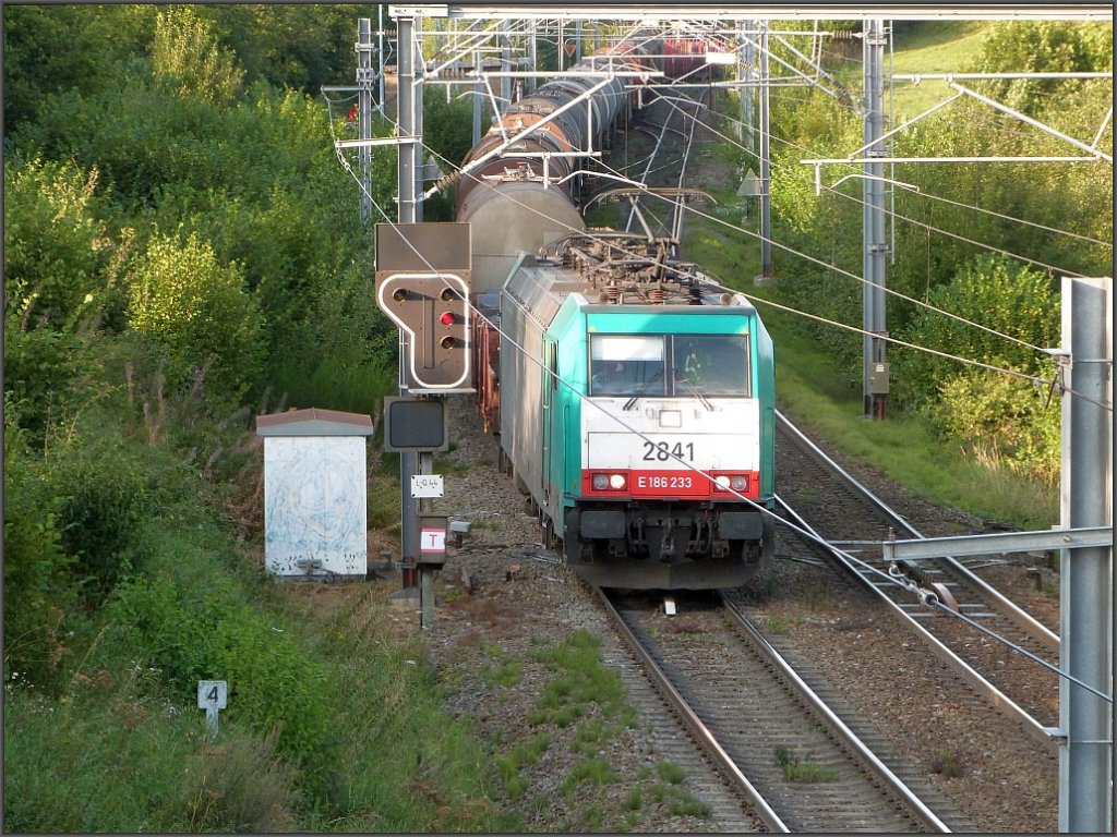 Mit einen gemischten G�terzug im Schlepptau ist die Cobra 2841 unterwegs auf der 
Montzenroute.Location:Botzelaer/Belgien, August 2012. 