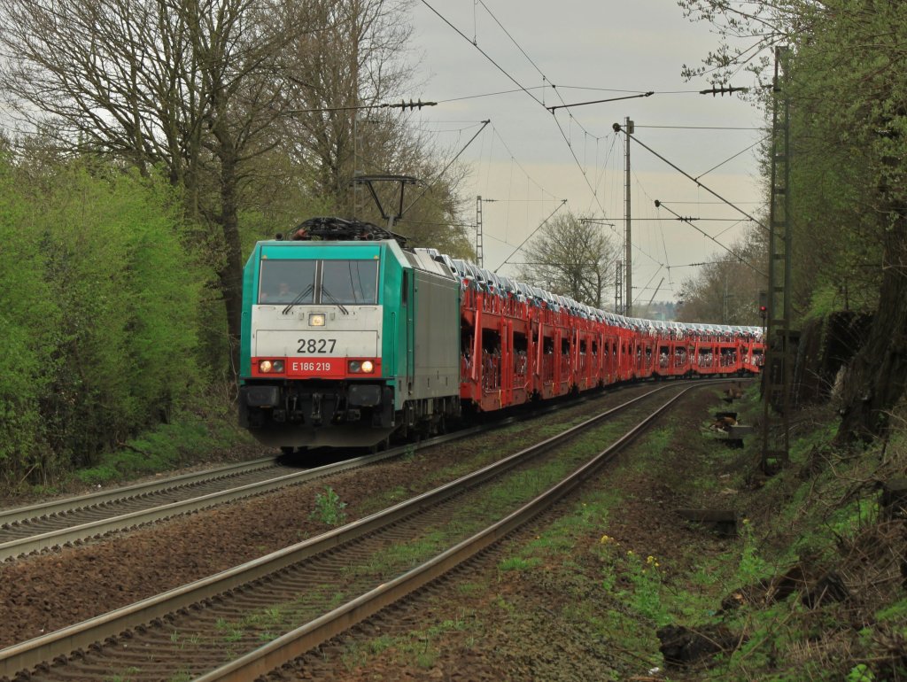 Mit voller Leistung zieht Cobra 186 219 (2827) am 06.04.2011 einen Autozug mit Mercedes Pkw`s die Rampe von Aachen West nach Belgien hoch.