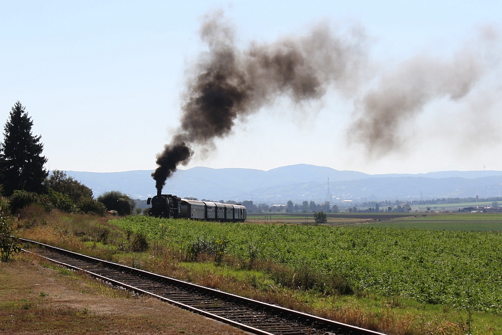 Mit weit sichtbarer Rauchfahne arbeitet sich die 52.100 des 1.SEK mit dem  NostalgieExpress Leiser Berge  am 06.10.2012 die Steigung vor der Hst. Mollmannsdorf empor.