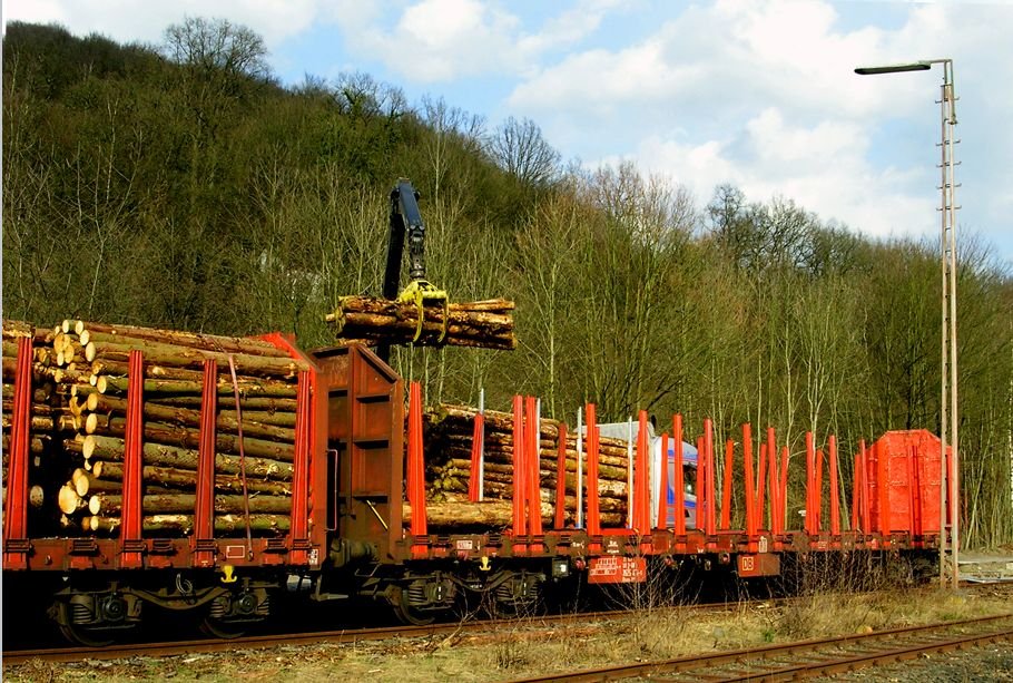 Mitte Mrz 2010 - von der Strae auf die Schiene - Holzverladung im Gterbahnhof Brgge/Westf.