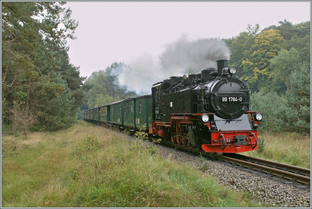Mitten im grossen Wald zwischen Sellin und Binz dampfte mir am 20. Sept. 2010 die sch�ne 99 1782-4 mit dem P 224 von G�hren nach Binz vor die Kamera.