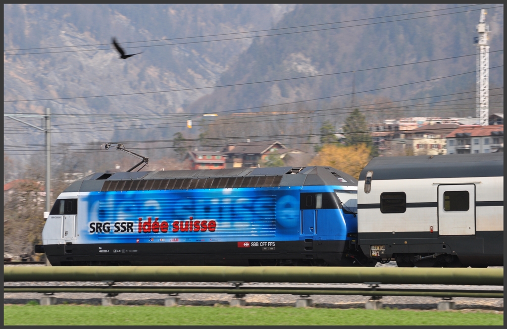 Mitzieher und neben der 460 020-1 habe ich auch noch eine Krhe erwischt. Bei Zizers. (29.03.2012)