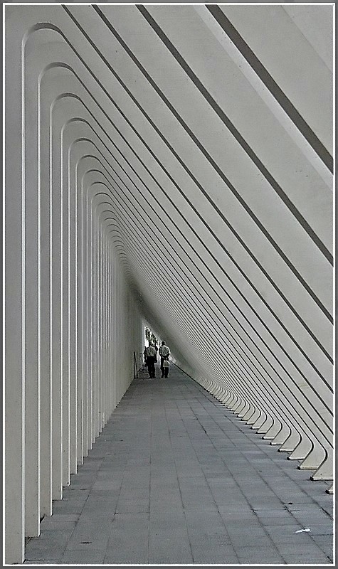 Moderner Sulengang im Bahnhof Lige Guillemins. 20.09.09 (Jeanny)