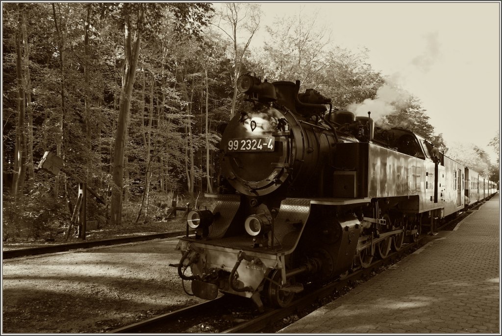 Molli Dampflok 99 2324-4 als Schwarzweiss Variation.
(20.09.2012)