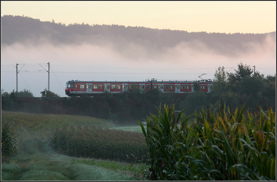 Morgennebel im Remstal - 

Eine S-Bahn auf der Remsbahn bei Weinstadt-Endersbach. 

27.09.2010 (M)