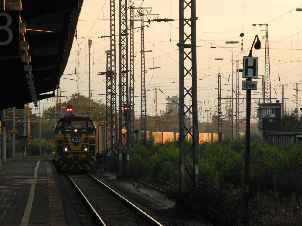 Morgenstimmung. MaK G 1206 (Lok 403 der Dortmunder Eisenbahn GmbH) mit Gterzug am frhen Morgen bei der Fahrt durch Gleis 8 Wanne-Eickel Hbf. (30.08.2011)