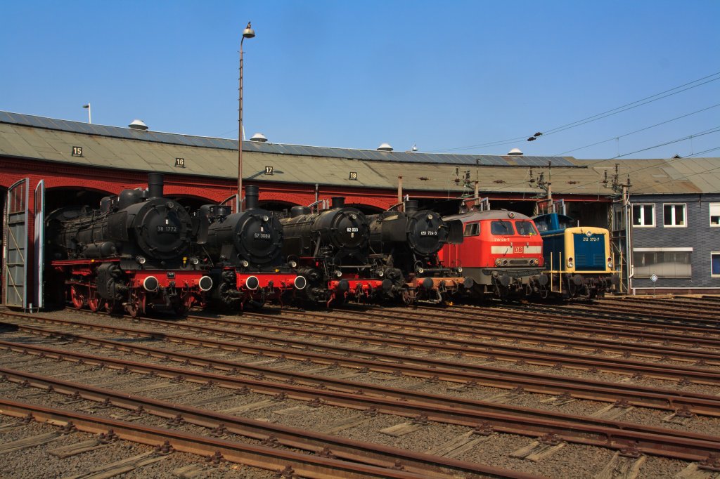Museumstag am 24.04.2011 im Sdwestflische Eisenbahnmuseum in Siegen. Folgende los schauen aus dem Ringlokschuppen (von links nach rechts): 38 1772 (P8), 57 3088, 82 008, 051 724-3, 218 128-7 (V160) und die 212 372-7 (V100).