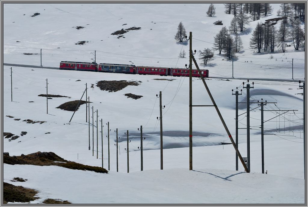 Nach der Alp Bondo steigt die Strecke wieder mit 70 Promille hoch zur oberen Bernabachbrcke. R1629 mit den ABe 4/4 III 54 und 55 auf dem Weg nach Tirano. (18.04.2013)