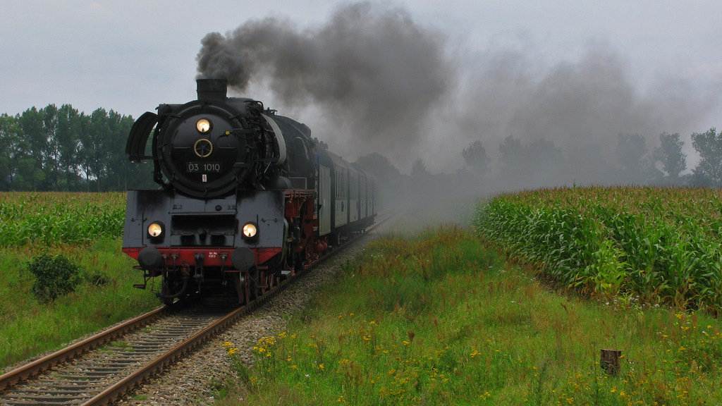 Nach den Ferkeleien in Pritzwalk verfolgten wir die 03 1010 von Pritzwalk bis Plau am See. Unterwegs wurde sie 3 mal eingeholt. Teilweise durch wagemutige Autofahrten und dem Gesp�r f�r Fotostellen, sowie einem Fahrer, der sich auskannte. Hier passiert sie gerade Wendisch Priborn und dampft gewaltig die Steigung hinauf. 14.08.2011